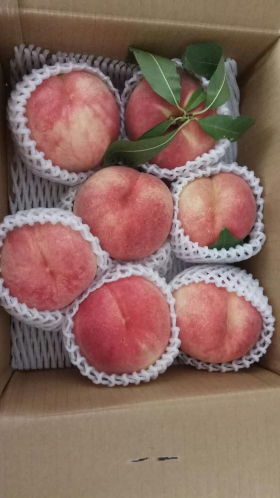 香港のお客様に桃を発送しました。