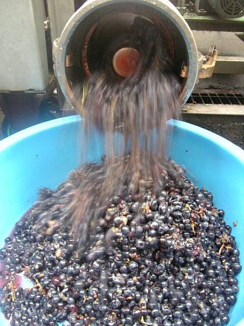 �ָ��ջŹ���(���٥�͡����������˥��)�פβ���