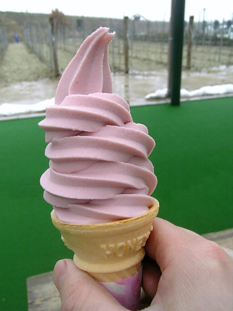 ���֥磻�󥽥եȥ��꡼��פβ���