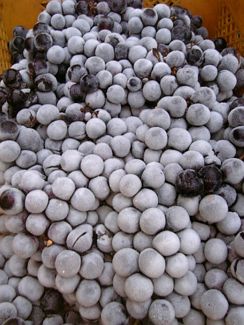 �֥磻��Ź���2007(ɹ�̥����٥�)�פβ���