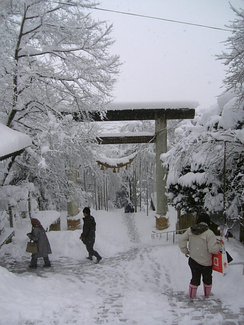 ��Vintage 2008�פβ���