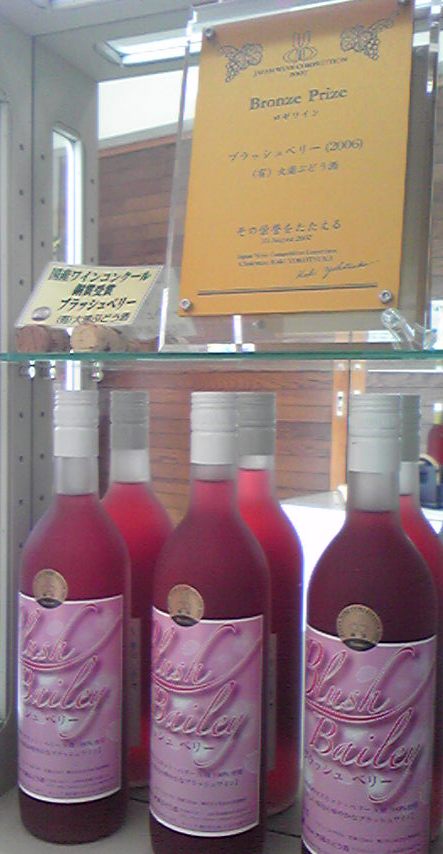 �֡إ֥�å���٥꡼2006�١פβ���