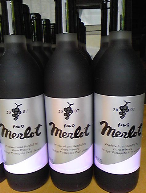 �֡إ����ٺƥ�꡼���פβ���