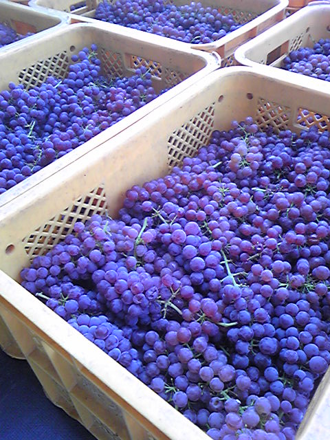 �֥ǥ饦�������ν齸�١פβ���