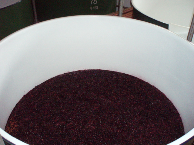 �֥磻��Ź���2008(�٥꡼�����ꥫ���A)�פβ���