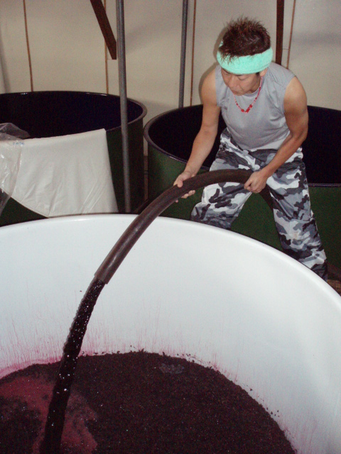 �֥ݥ�ԥ󥰥���(�٥꡼�����ꥫ���A)�פβ���