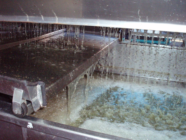 �֥磻��Ź���2008(�ʥ�������)�פβ���