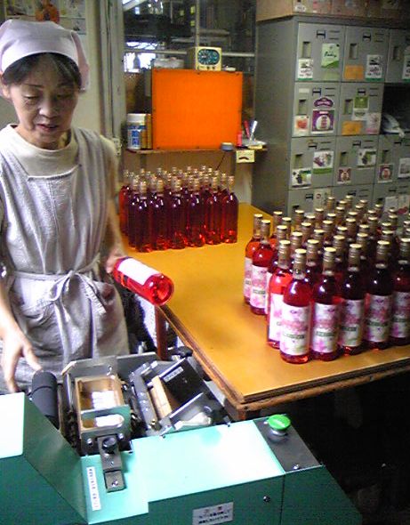 �֡�����̡�������2008(����)�ٽ���ޤ����פβ���