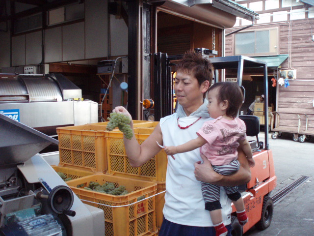 �֥磻��Ź���2008(�����ɥ�)�פβ���