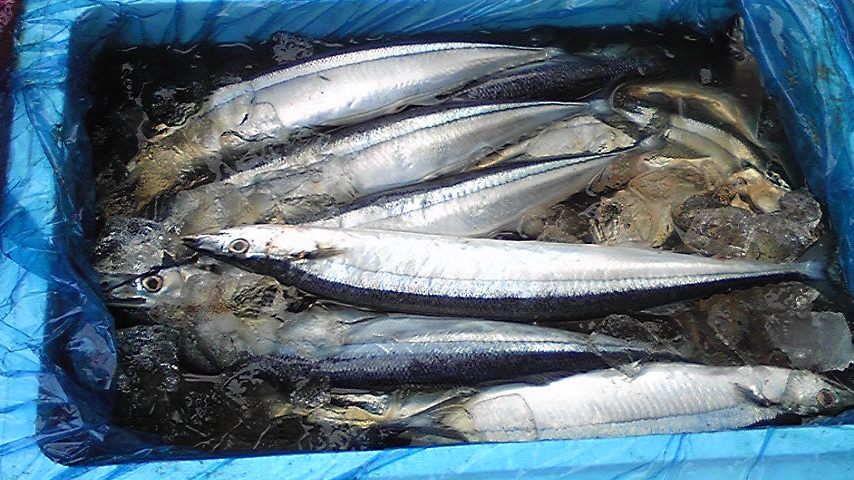 �ֽ������ĺ���ޤ���m(__)m�פβ���