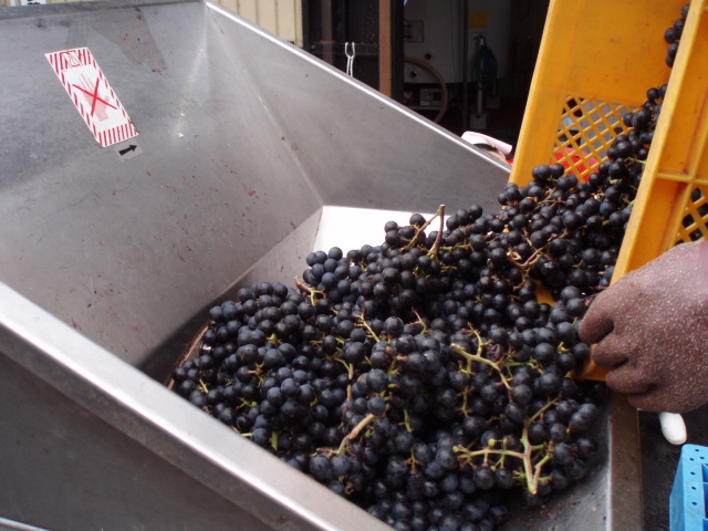 �֥磻��Ź���2008(�֥�å�����������)�פβ���