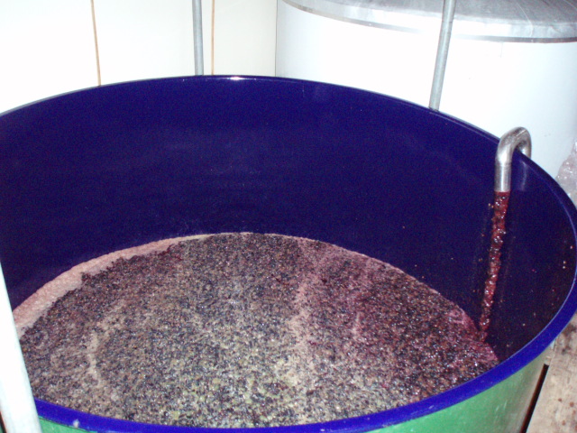 �֥磻��Ź���2008(�ޥ����åȡ��٥꡼A��)�פβ���