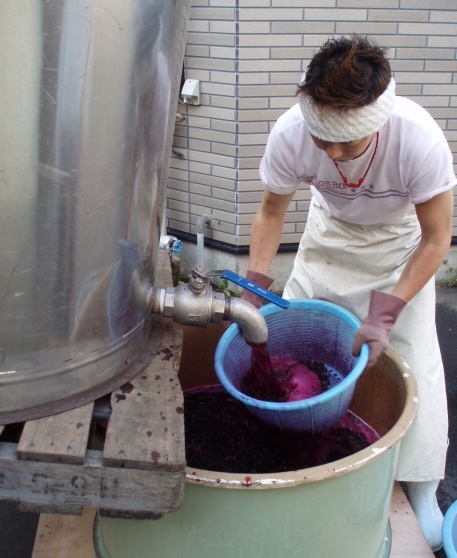 �֥磻��Ź���2008(����ƺ)�פβ���