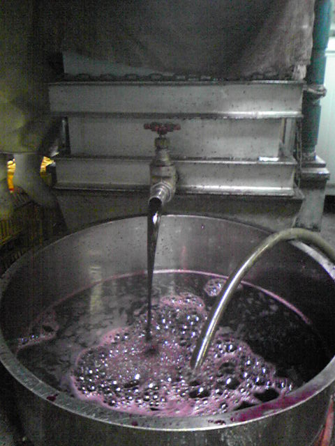 �֥��塼���Ź���2008(���٥�͡����������˥��)�פβ���