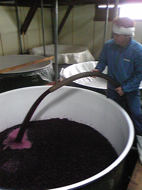 �֥磻��Ź���2008(���٥�͡����������˥��)�פβ���