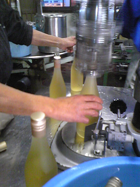 �ִۻ���󥴤�¤�ä��磻��פβ���