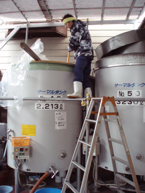 ������磻����������٤⤦����ȯ�䤷�ޤ��פβ���