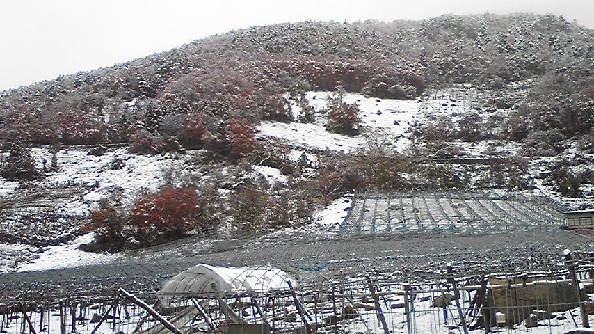 2008/11/21 19:00 ���ä����㲽��