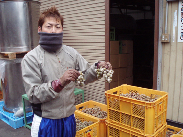 2008/12/03 23:02 �磻��Ź���2008(ɹ��ʥ�������)