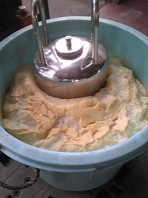 �֥磻��Ź���2009(���)�פβ���