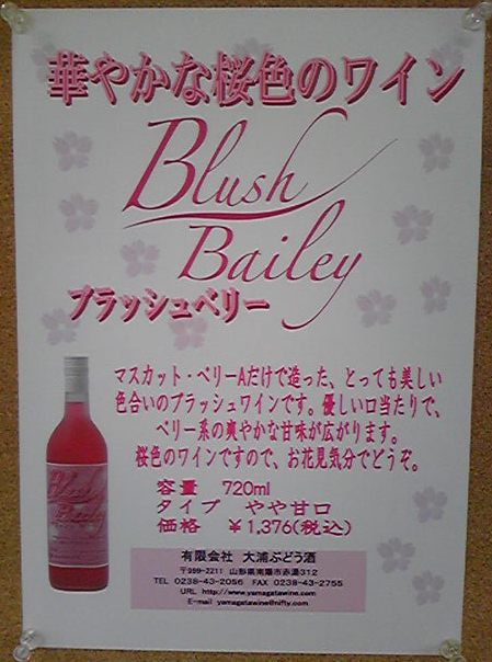 �ֲڤ䤫�ʺ����Υ磻��פβ���