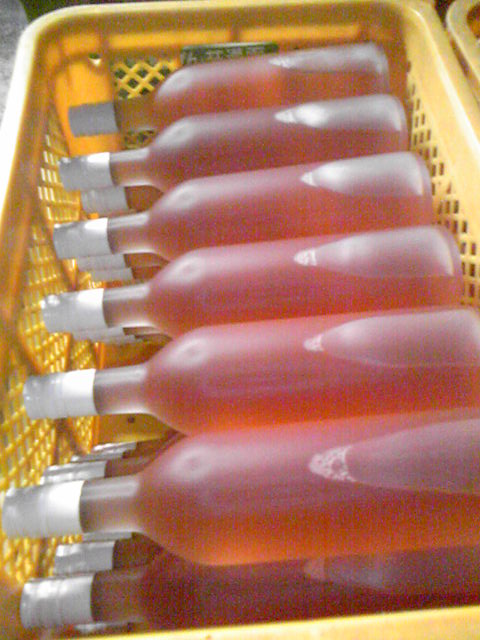 �ֺ����Ρإ֥�å���٥꡼�ٽ�Ŷ�פβ���