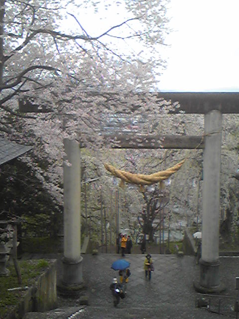 �ֱ�˹�һ��κ�(2009ǯ4��21������)�פβ���