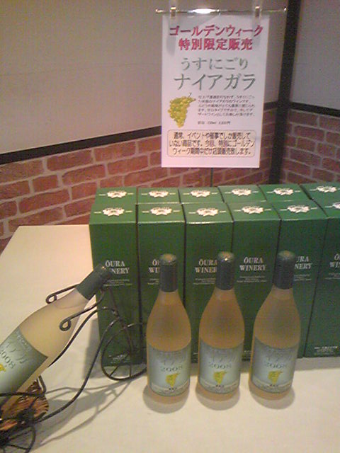 �֥�����ǥ󥦥�����������ŹƬ����ؤ����ˤ���ʥ�������2008�١פβ���