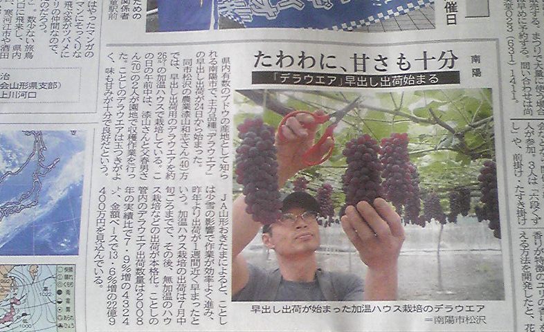 ������Υǥ饦����������Ф��в١פβ���