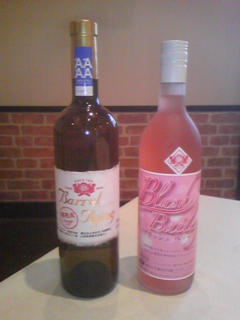 �֡ع񻺥磻�󥳥󥯡���2009�٤ˤ�2�������ޡפβ���