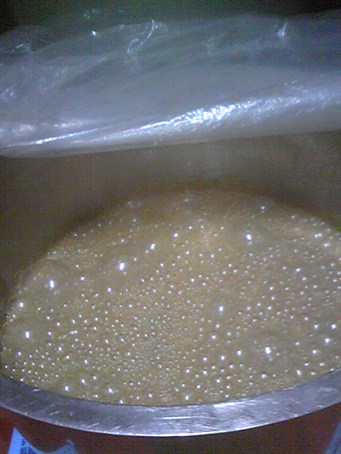 �֥磻��Ź��ߡ��ǥ饦������(2009ǯ8��19��)�פβ���