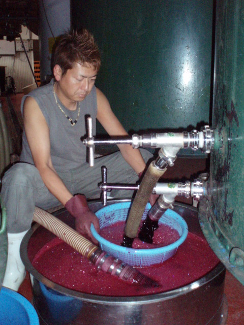 �֥磻��Ź���*�٥꡼�����ꥫ���A(2009ǯ9��16��)�פβ���