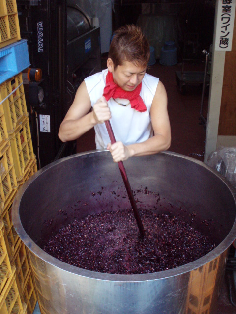 �֥磻��Ź��ߡ��֥�å�����������(2009ǯ10��11��)�פβ���