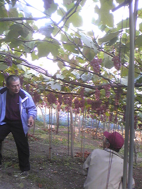 �ֹý�(2009ǯ10��19������)�פβ���