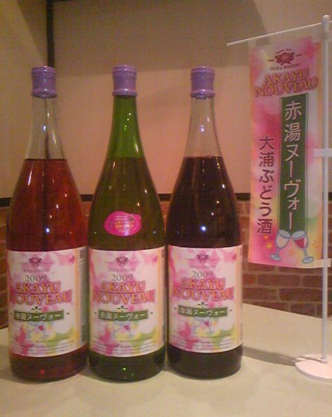 �֡�����̡�������2009�ٰ쾣�ӥ��꡼���פβ���