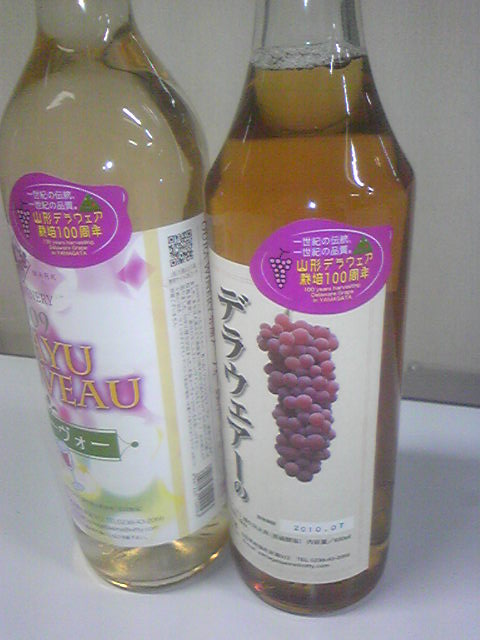 �֥ǥ饦����������100��ǯ��ǰ������פβ���