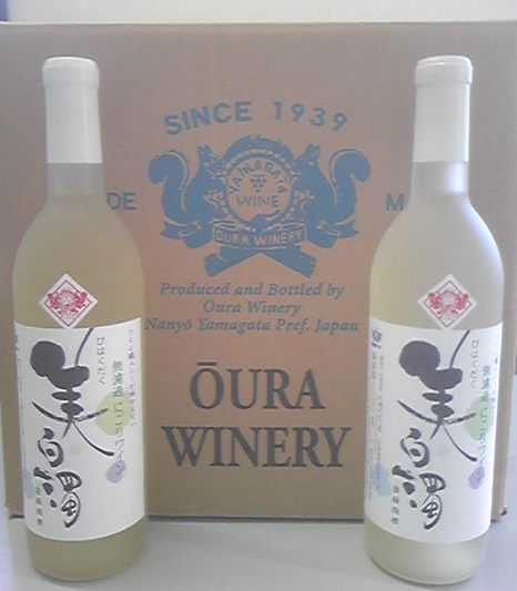 ������̵�ɲ�磻���������2009�ٴ֤�ʤ�ȯ��פβ���