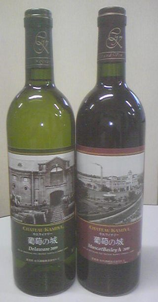 ����ƺ�ξ�2009�פβ���