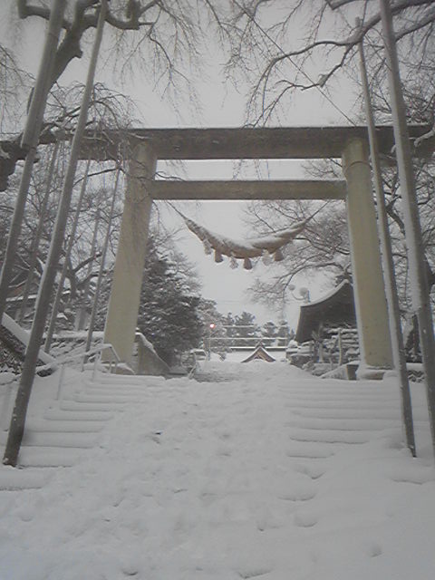 �ֲ���2010�פβ���