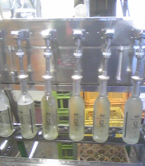 �֡إ��塼�롦�꡼2008�ٽ�Ŷ�פβ���