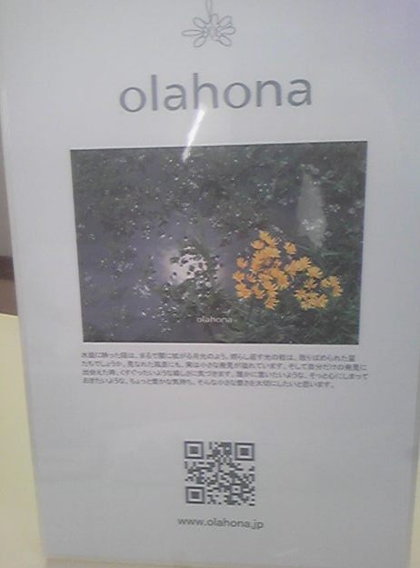 �֡�olahona�ٲ�ġפβ���