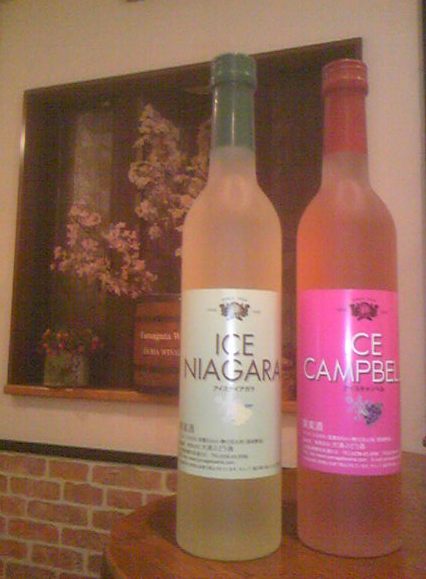 �֡إ������ʥ�������2009�١��إ����������٥�2009�ٴ֤�ʤ�ȯ��פβ���