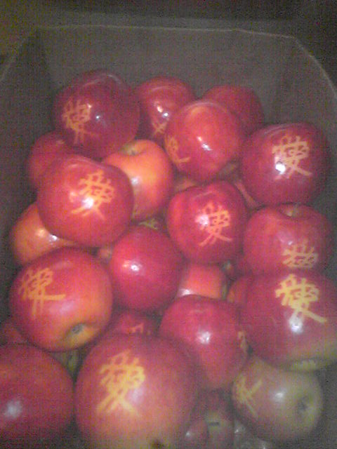 �ֺ����Ǹ�Υ�󥴥��塼�����פβ���