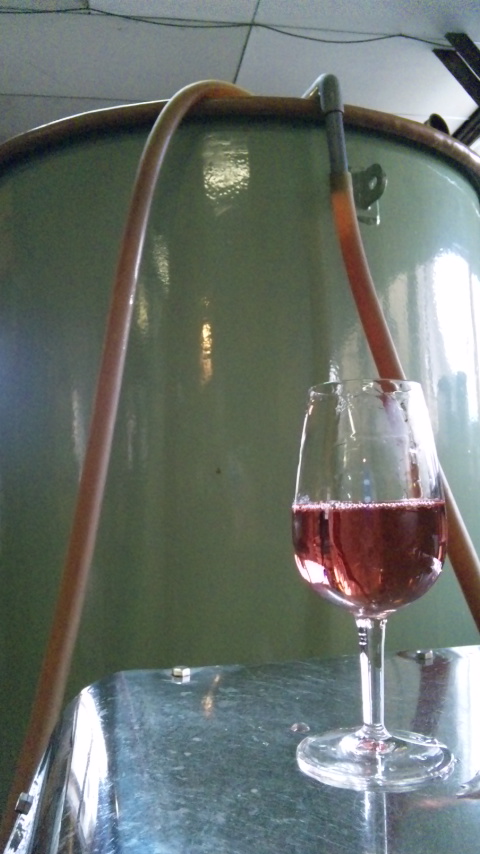 �֡إ֥�å���٥꡼2009�ٽ�Ŷ�פβ���