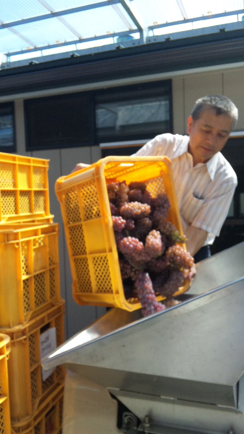 �֥磻��Ź��ߡ��ǥ饦������(2010ǯ8��18��)�פβ���