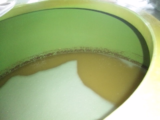 �֥ǥ饦������ȯ����(2010ǯ8��26��)�פβ���