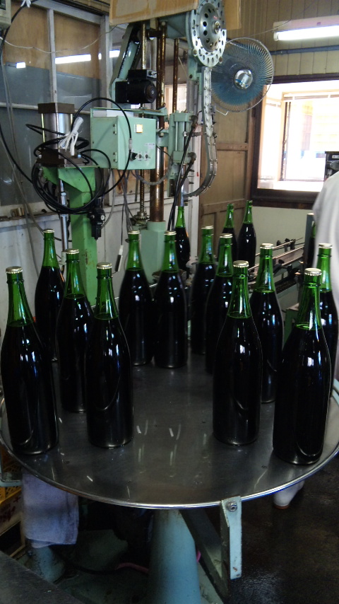 �֡�����̡�������(��)2010�ٽ�Ŷ�פβ���