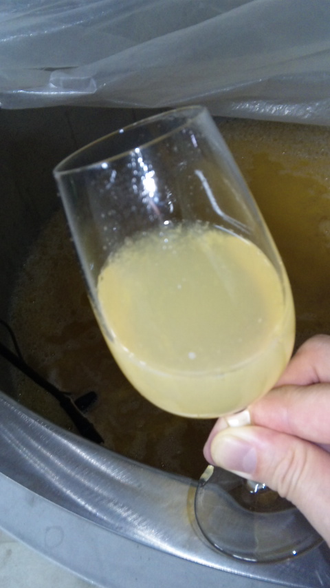 �֥磻��Ź��ߡ���ɱ(2010ǯ10��7��)�פβ���