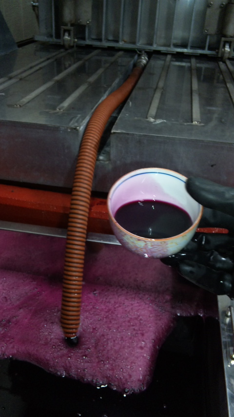 �ָ��ջŹ��ߡ�����ƺ(2010ǯ10��20��)�פβ���