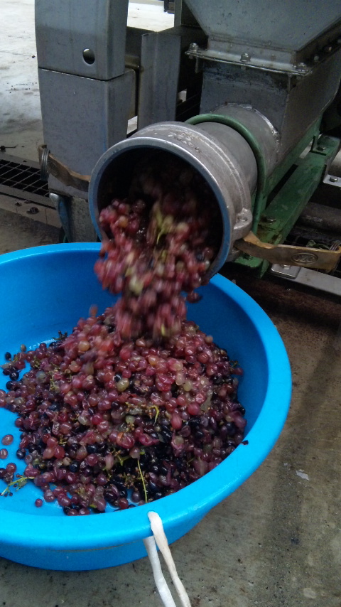 �ָ��ջŹ��ߡ��ǥ饦������������(2010ǯ10��22��)�פβ���